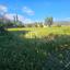 land for sale asgata limassol 8890414 thumbnail 17319712