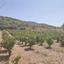 3949 SQM Land for sale in Omodos, Limassol thumbnail 15440464