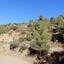 7024 SQM Land for sale in Kalo Chorio Lemesou, Limassol thumbnail 15873626