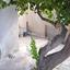 2 bedroom detached house for sale latsia nicosia 8785514 thumbnail 16653794