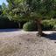 3 bedroom bungalow for sale aphrodite hills paphos 7545514 thumbnail 15068296