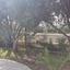 4 bedroom detached house for sale dekeleia larnaca 7906514 thumbnail 17677455