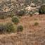 land for sale statos agios fotios paphos 8244514 thumbnail 15595874