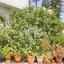 studio apartment building for sale strovolos nicosia 1728514 thumbnail 7448078