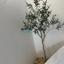 studio office for rent aradippou larnaca 8531514 thumbnail 15460115