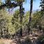 1668 SQM Land for sale in Pedoulas, Nicosia thumbnail 13399946
