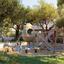 3 bedroom detached house for sale dekeleia larnaca 8560614 thumbnail 15586064