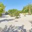 4 bedroom detached house for sale saint george peyia paphos 8529614 thumbnail 15928877