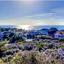 land for sale agios tychonas limassol 8106614 thumbnail 14140032