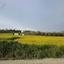 land for sale geri nicosia 1548614 thumbnail 6138557