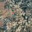 land for sale kathikas paphos 1938714 thumbnail 16013657