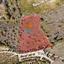 land for sale kathikas paphos 1938714 thumbnail 16013662