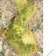land for sale pissouri limassol 1668714 thumbnail 5853850