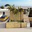 3 bedroom detached house for sale peyia paphos 7579814 thumbnail 14224449
