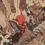 land for sale pera orinis nicosia 1117814 thumbnail 2996864