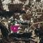 land for sale neo chorio paphos 7812914 thumbnail 14876728