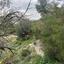 plot for sale peyia paphos 8749914 thumbnail 16480110