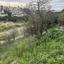 plot for sale peyia paphos 8749914 thumbnail 16480115