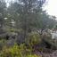 land for sale moniatis limassol 8914024 thumbnail 17530395