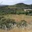 land for sale pachna limassol 8630024 thumbnail 16656498