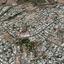 land for sale paphos municipality paphos 7740024 thumbnail 12582388
