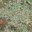 land for sale sotira ammochostou famagusta 1732024 thumbnail 4666262