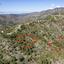 plot for sale sykopetra limassol 1651024 thumbnail 4226336