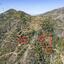 plot for sale sykopetra limassol 1651024 thumbnail 4226339