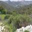land for sale kalavasos larnaca 8884124 thumbnail 17292563