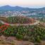land for sale kornos larnaca 1827124 thumbnail 6408223