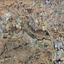 land for sale tseri nicosia 8317124 thumbnail 16519761