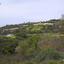 plot for sale tsada paphos 8442124 thumbnail 15062780