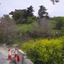 plot for sale tsada paphos 8442124 thumbnail 15062782