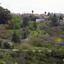 plot for sale tsada paphos 8442124 thumbnail 15062783