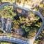 plot for sale tsada paphos 8442124 thumbnail 15062787