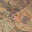 23746 SQM Land for sale in Kato Koutrafas, Nicosia thumbnail 14752415