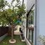 3 bedroom detached house for rent lofos tala paphos 8804224 thumbnail 16778035