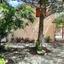 3 bedroom town house for sale vavla larnaca 1621224 thumbnail 5888785