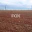 land for sale agios theodoros larnacas larnaca 1146224 thumbnail 13965856
