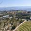 land for sale pano akourdalia paphos 1714224 thumbnail 15597160