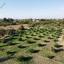 land for sale pera orinis nicosia 8630224 thumbnail 16718263