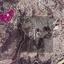 land for sale skarinou larnaca 8275224 thumbnail 15158437