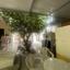 6 bedroom semi detached house for sale strovolos nicosia 1861324 thumbnail 12691079