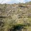 land for sale agridia limassol 1795324 thumbnail 6052680