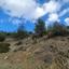 land for sale palaichori morfou nicosia 7980324 thumbnail 15596684