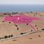 land for sale agios theodoros larnacas larnaca 1736424 thumbnail 14877296