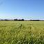 land for sale kouklia pafou paphos 7756424 thumbnail 10325337