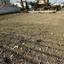 plot for sale pyla larnaca 1628424 thumbnail 7550375