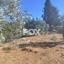 studio warehouse for rent trachoni lemesou limassol 1755424 thumbnail 14175517
