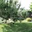 3 bedroom detached house for sale klirou nicosia 1152524 thumbnail 5156525